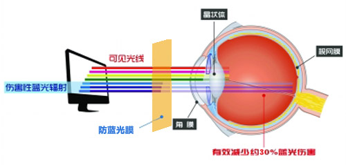 丝瓜视频无限最新科技成果 丝瓜下载视频成护眼利器 丝瓜视频无限最新科技成果 丝瓜下载视频成护眼利器